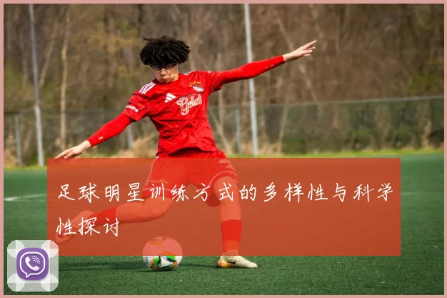 足球明星训练方式的多样性与科学性探讨