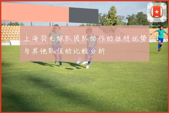 上海羽毛球队团队协作的独特优势与其他队伍的比较分析