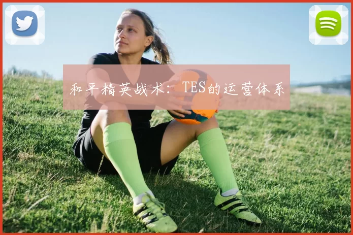 和平精英战术：TES的运营体系