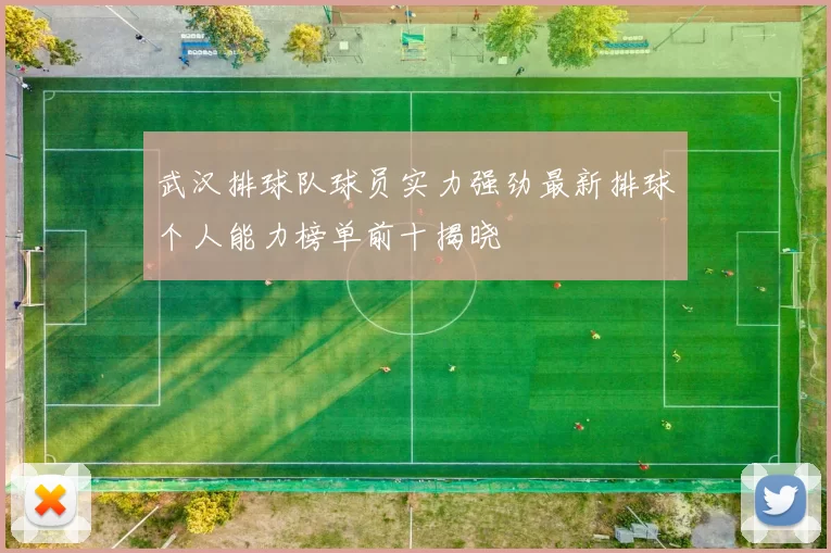 武汉排球队球员实力强劲最新排球个人能力榜单前十揭晓