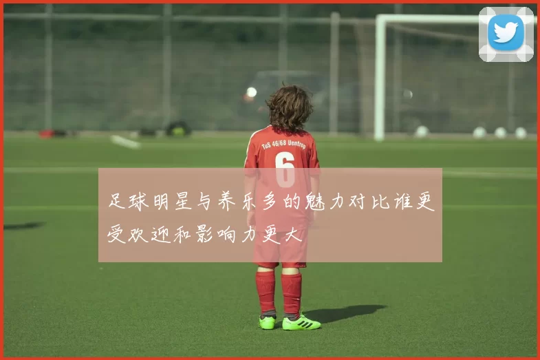 足球明星与养乐多的魅力对比谁更受欢迎和影响力更大