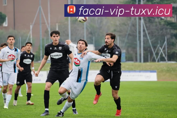 tag/[--tagid--].html服务体系